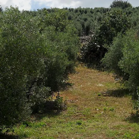 Farm stay Casale Re